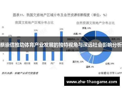 蔡崇信推动体育产业发展的独特视角与深远社会影响分析