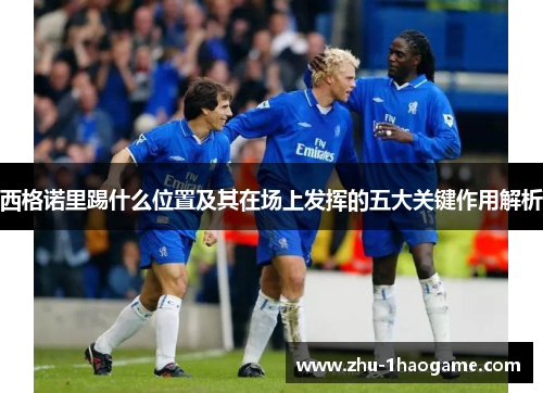 西格诺里踢什么位置及其在场上发挥的五大关键作用解析 西格诺里踢什么位置及其在场上发挥的五大关键作用解析