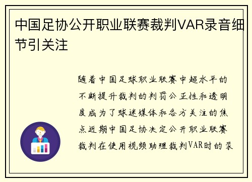 中国足协公开职业联赛裁判VAR录音细节引关注 中国足协公开职业联赛裁判VAR录音细节引关注