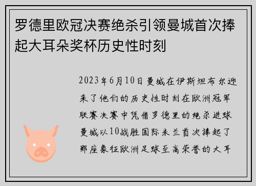 罗德里欧冠决赛绝杀引领曼城首次捧起大耳朵奖杯历史性时刻
